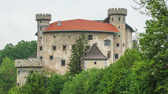 Muttertags_Ausflug_Plankenstein_08.05.2024__1004_.JPG  